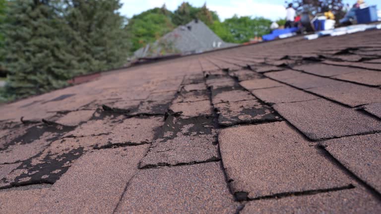 Roof Insulation in Belvidere, IL