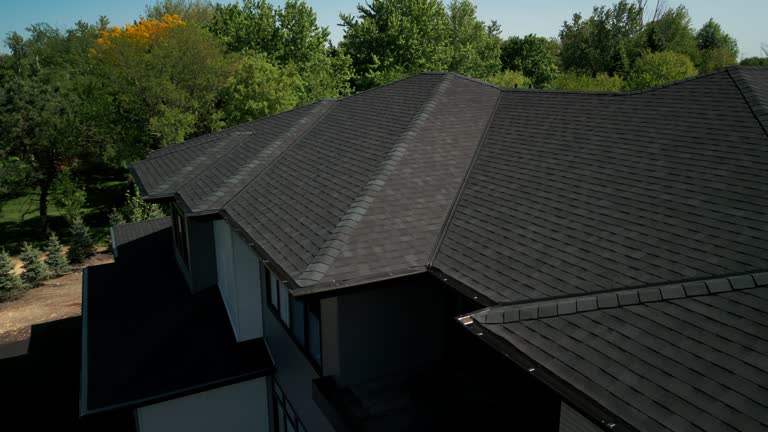 Best Gutter Installation and Repair  in Belvidere, IL