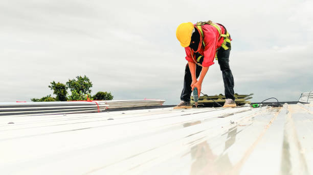 Belvidere, IL Roofing Service Company