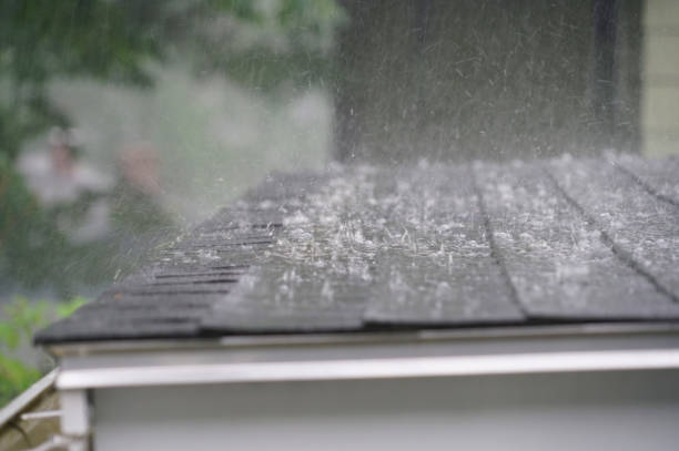 Best Storm Damage Roof Repair  in Belvidere, IL