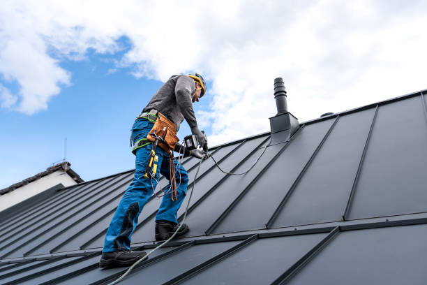 Steel Roofing in Belvidere, IL