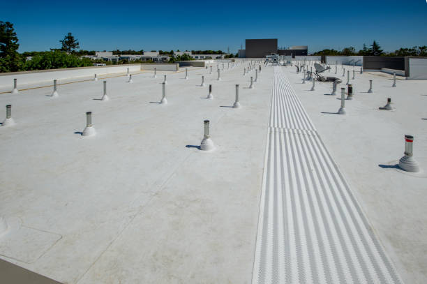 Best Sheet Metal Roofing  in Belvidere, IL